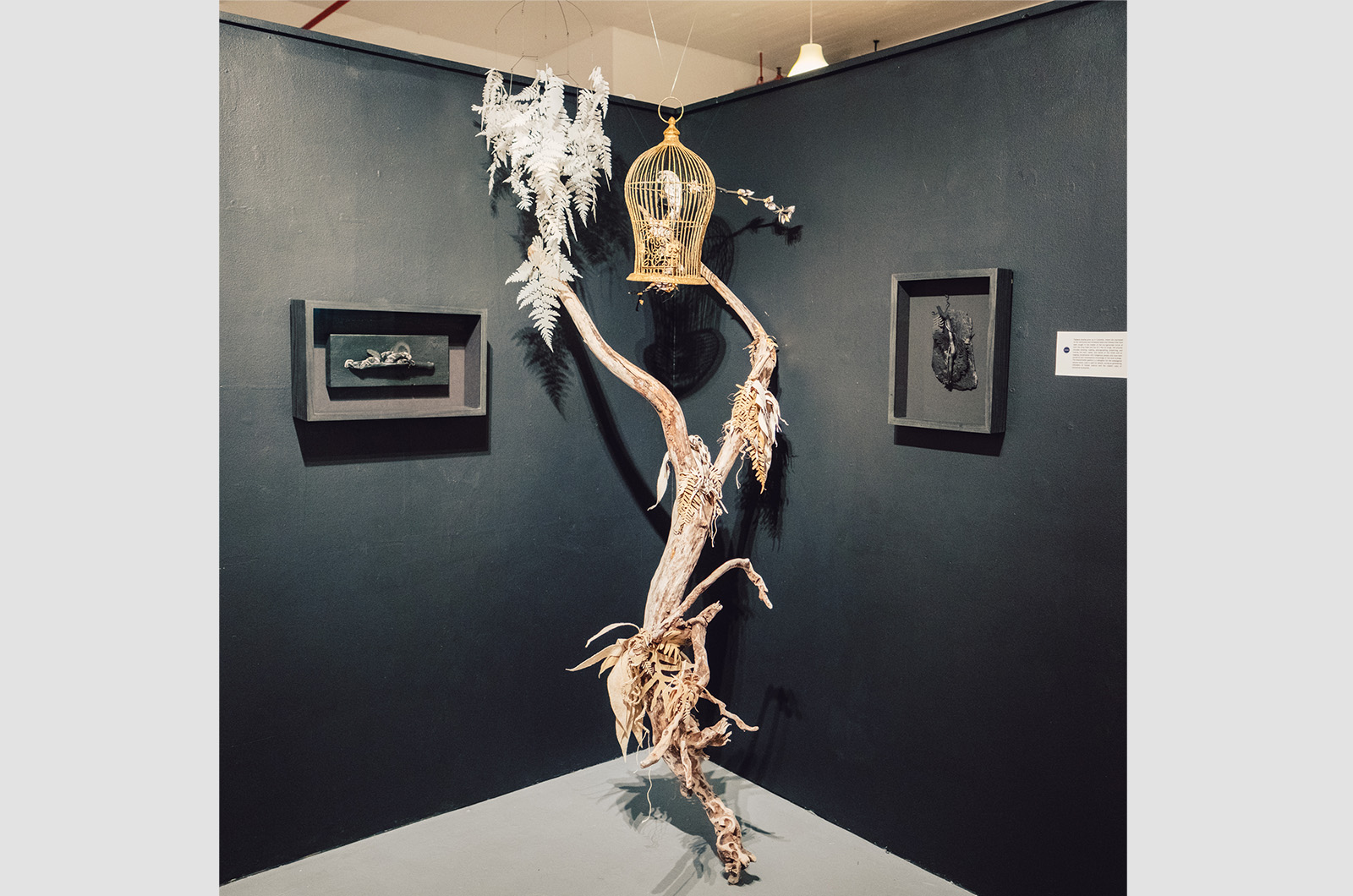 Installation view of Arocha’s work at KUNSTRAUM.