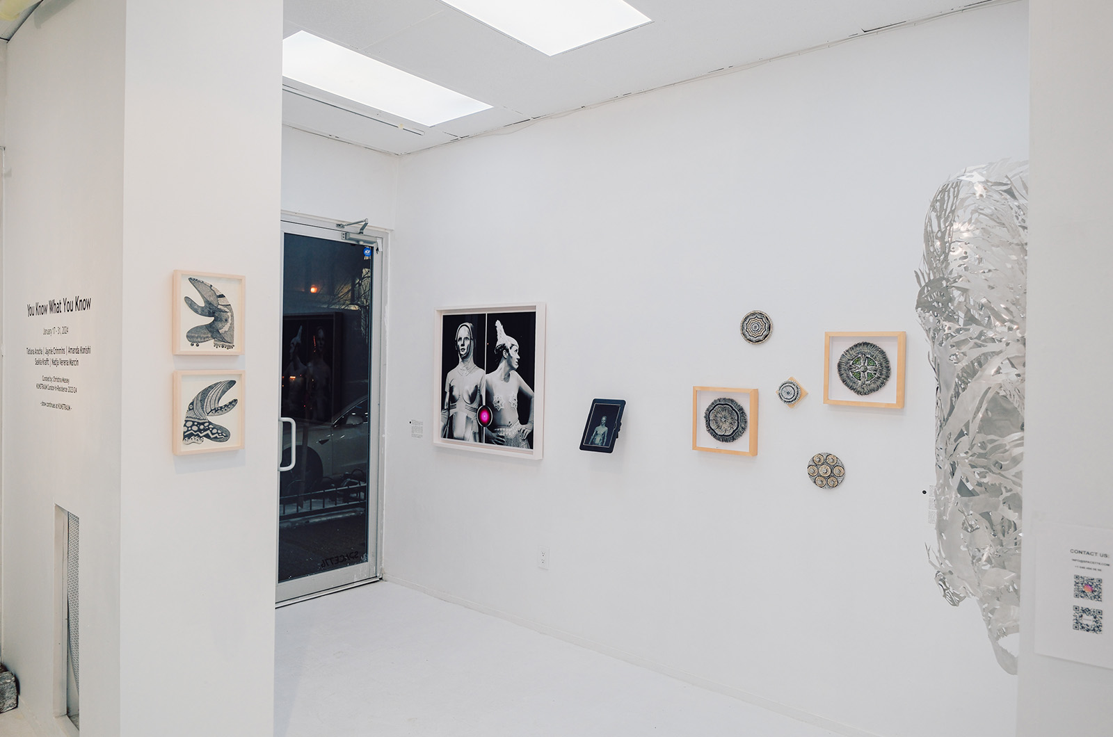 Installation view of You Know What You Know at Space 667
