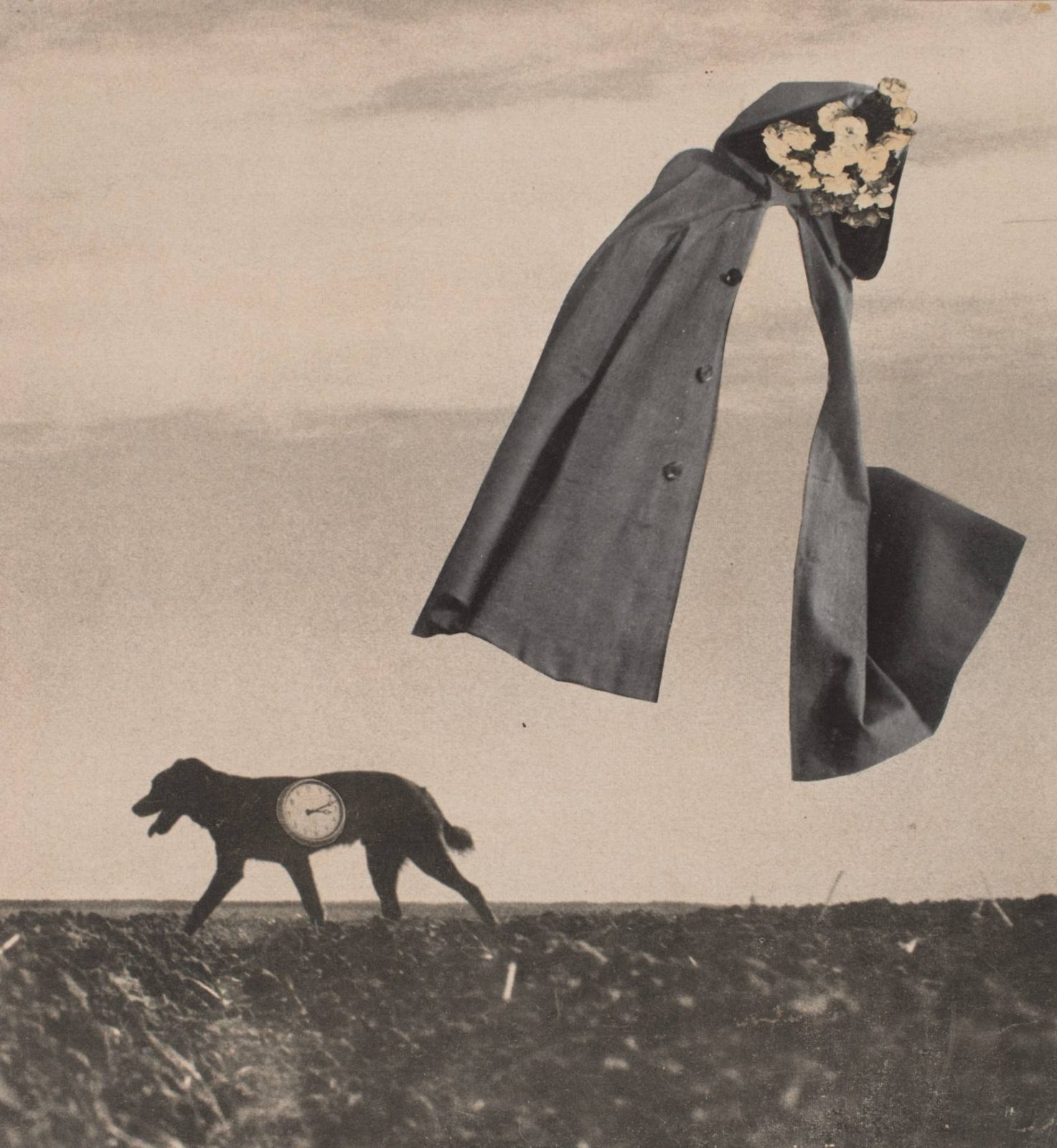 Toshiko Okanoue collage of an empty cape suspended in the air with flowers for a hood, a dog with a clock in its body walking away